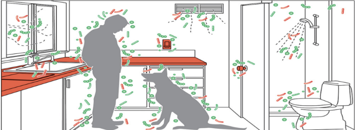 A home's microbiota reflects its occupants — a shared household converges on a shared microbiome that predicts the specific family and shifts within days of an occupancy change.