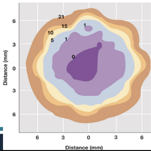 Oxygen concentration contours across a single soil particle — ~21% at the oxic surface down to 0% in the anoxic core